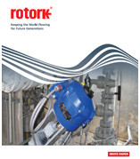 Control Valve Actuators 