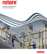 Life Cycle Asset Management 